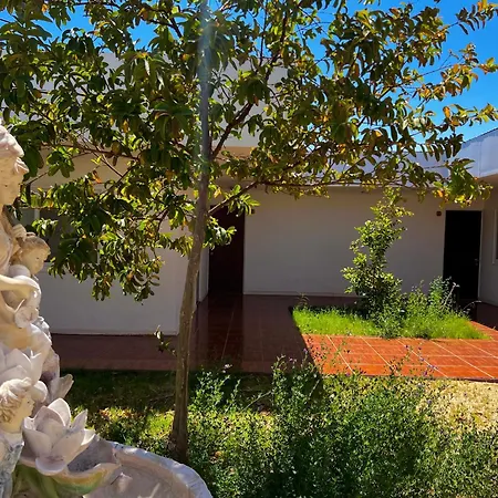 Hospedaje La Florentina Pica Exterior photo